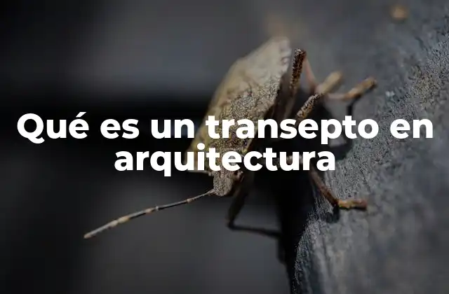 Qué es un Transepto en Arquitectura