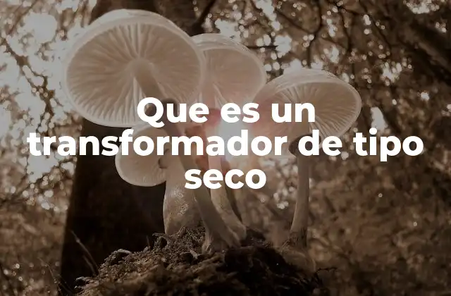 Que es un Transformador de Tipo Seco