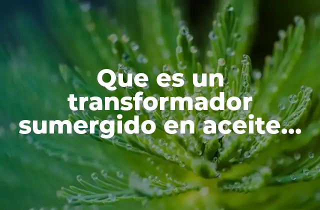 Que es un Transformador Sumergido en Aceite Yahoo