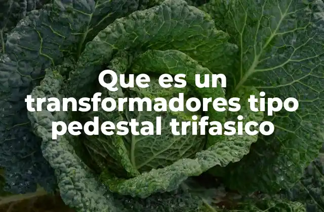 Que es un Transformadores Tipo Pedestal Trifasico