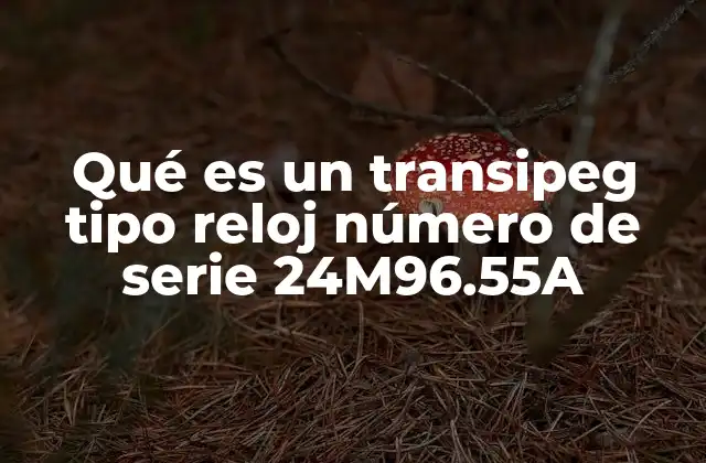 Qué es un Transipeg Tipo Reloj Número de Serie 24m96.55a