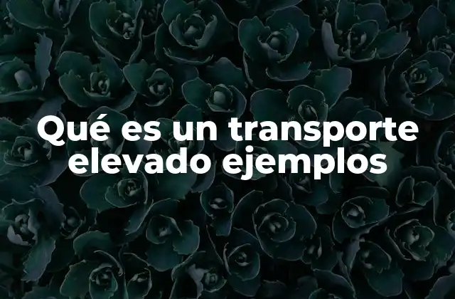Qué es un Transporte Elevado Ejemplos