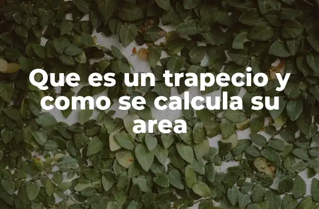 Que es un Trapecio y como Se Calcula Su Area