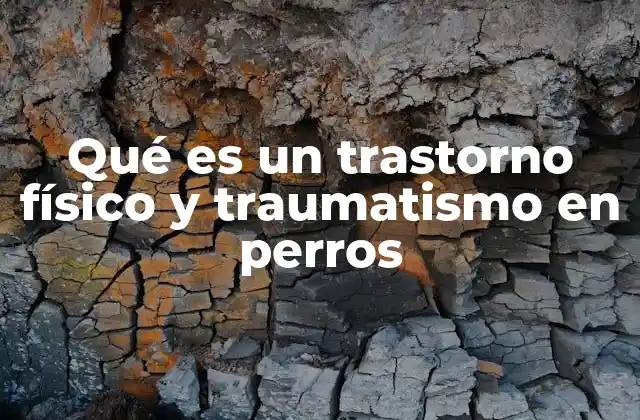 Qué es un Trastorno Físico y Traumatismo en Perros