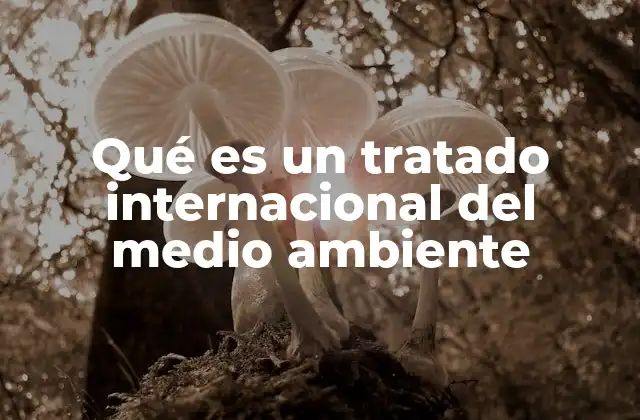 Qué es un Tratado Internacional Del Medio Ambiente