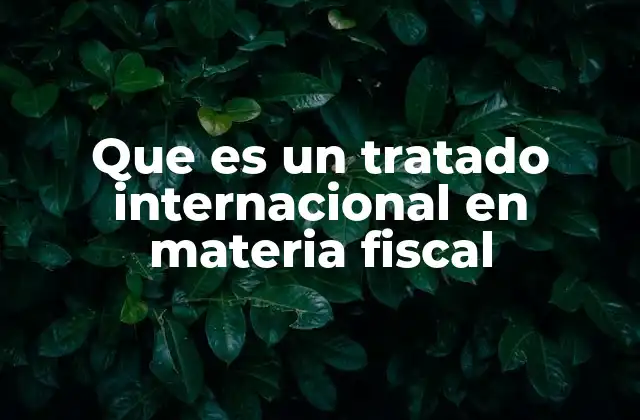 Que es un Tratado Internacional en Materia Fiscal 2 El papel de los tratados internacionales en la economía global