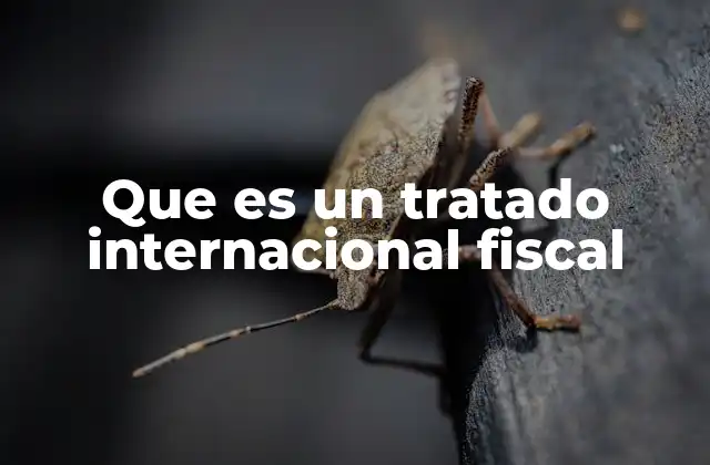 Que es un Tratado Internacional Fiscal