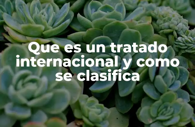Que es un Tratado Internacional y como Se Clasifica