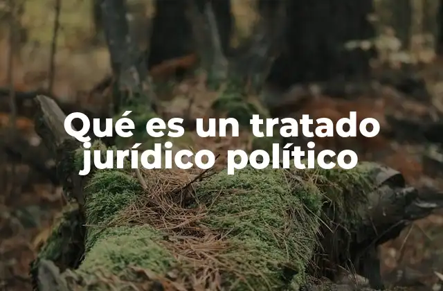 Qué es un Tratado Jurídico Político