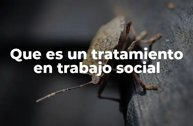 Que es un Tratamiento en Trabajo Social
