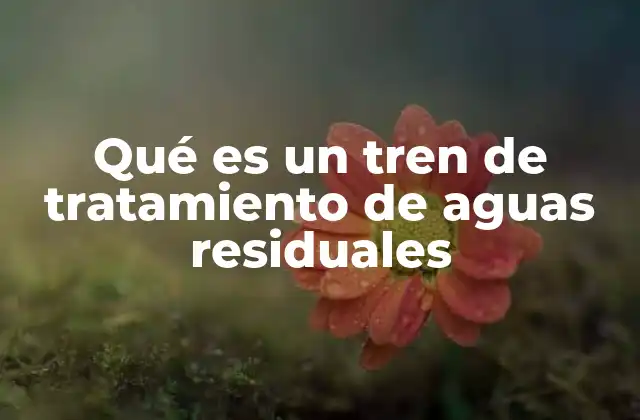 La importancia de los procesos de purificación en los sistemas de gestión de aguas