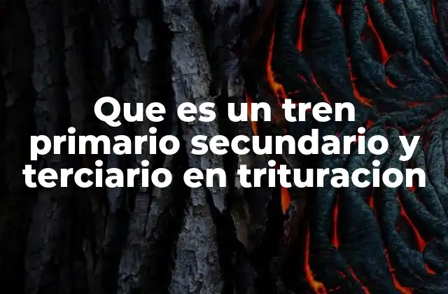 Que es un Tren Primario Secundario y Terciario en Trituracion