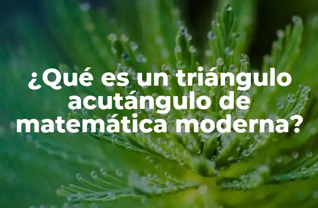 ¿qué es un Triángulo Acutángulo de Matemática Moderna?