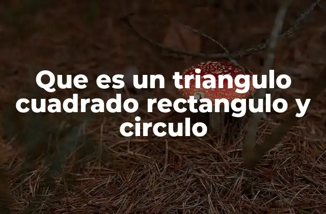 Que es un Triangulo Cuadrado Rectangulo y Circulo