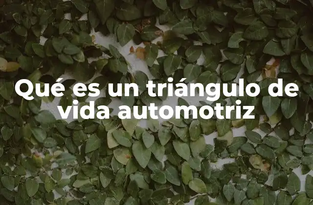 Qué es un Triángulo de Vida Automotriz