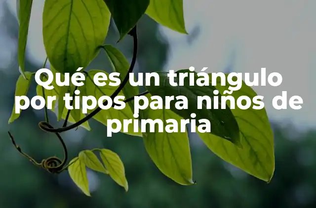Qué es un Triángulo por Tipos para Niños de Primaria