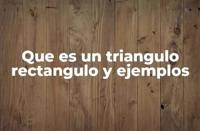 Que es un Triangulo Rectangulo y Ejemplos