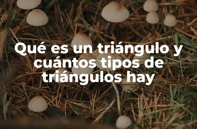 Qué es un Triángulo y Cuántos Tipos de Triángulos Hay