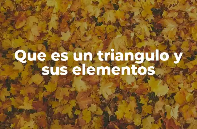 Que es un Triangulo y Sus Elementos