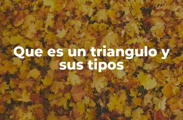 Que es un Triangulo y Sus Tipos