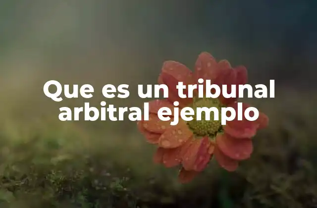 Que es un Tribunal Arbitral Ejemplo 2 El arbitraje como mecanismo de resolución de conflictos