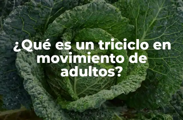 ¿qué es un Triciclo en Movimiento de Adultos?