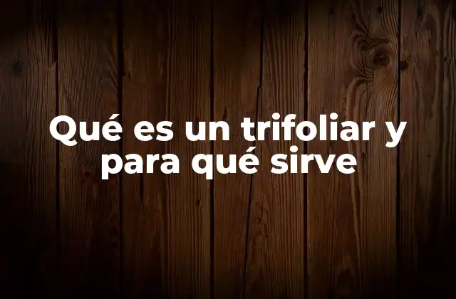 El papel del trifoliar en el entorno laboral