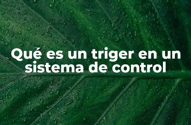 Qué es un Triger en un Sistema de Control