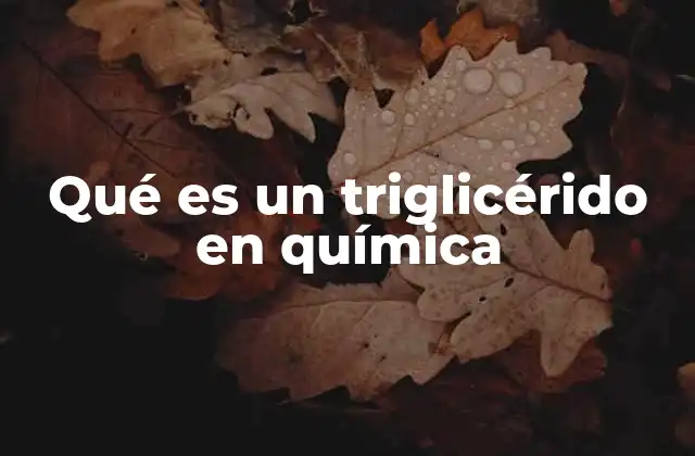 Qué es un Triglicérido en Química