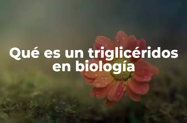 Qué es un Triglicéridos en Biología