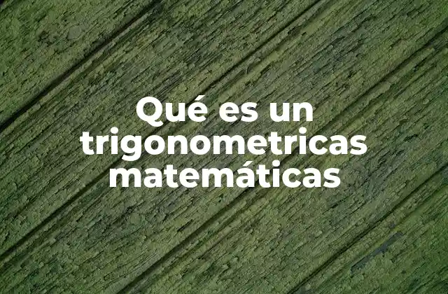 Qué es un Trigonometricas Matemáticas