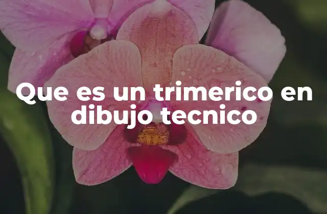 Que es un Trimerico en Dibujo Tecnico