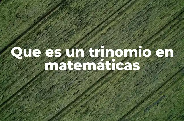 Que es un Trinomio en Matemáticas