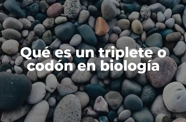 Qué es un Triplete o Codón en Biología