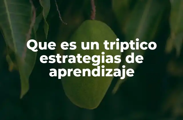 Que es un Triptico Estrategias de Aprendizaje