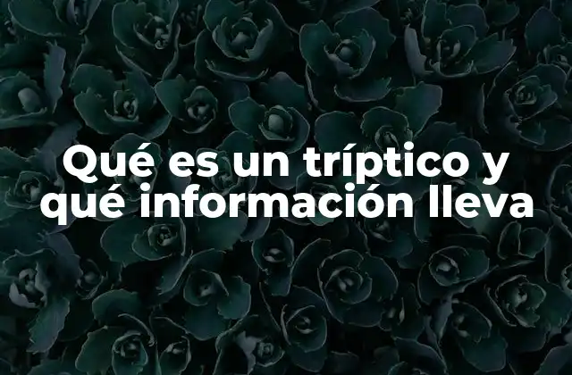 Qué es un Tríptico y Qué Información Lleva