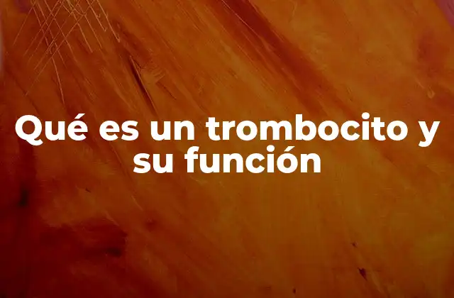 Qué es un Trombocito y Su Función