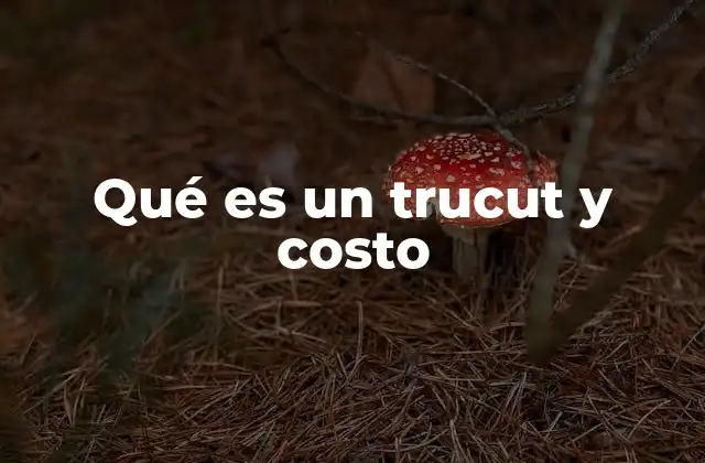 Qué es un Trucut y Costo