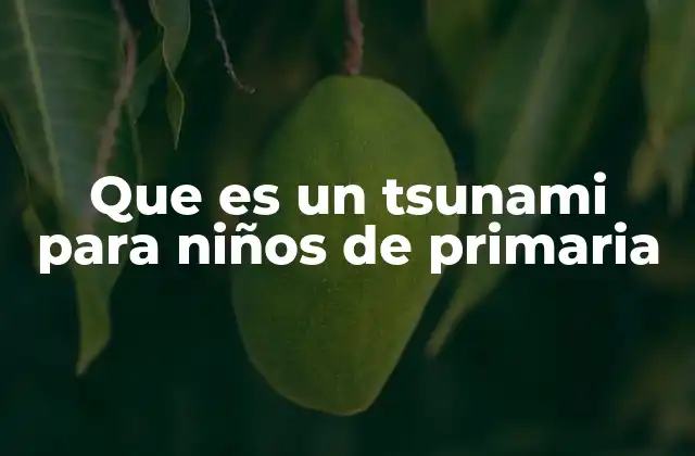 Que es un Tsunami para Niños de Primaria