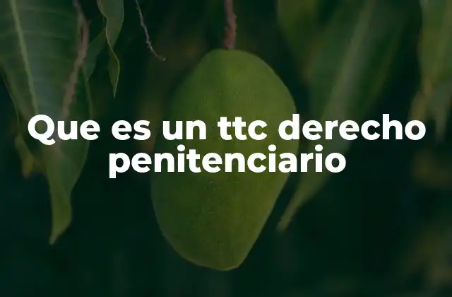 Que es un Ttc Derecho Penitenciario