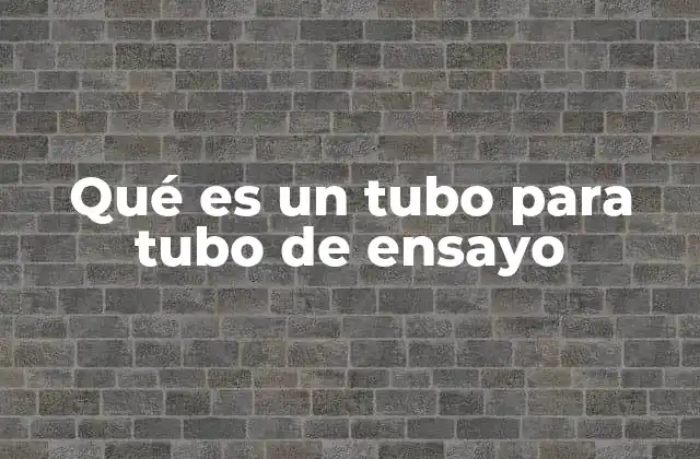 Qué es un Tubo para Tubo de Ensayo