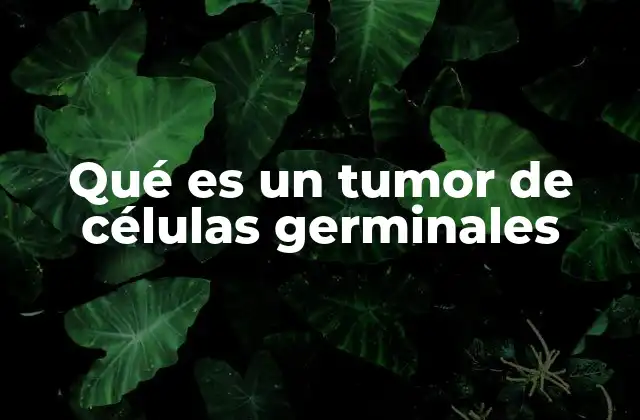 Qué es un Tumor de Células Germinales