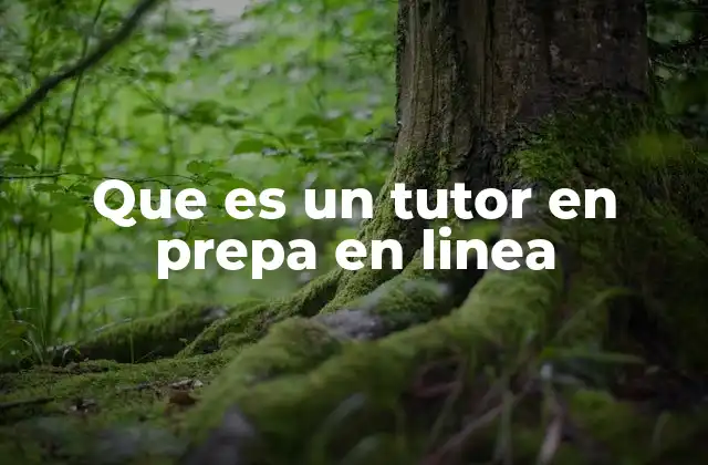 Que es un Tutor en Prepa en Linea