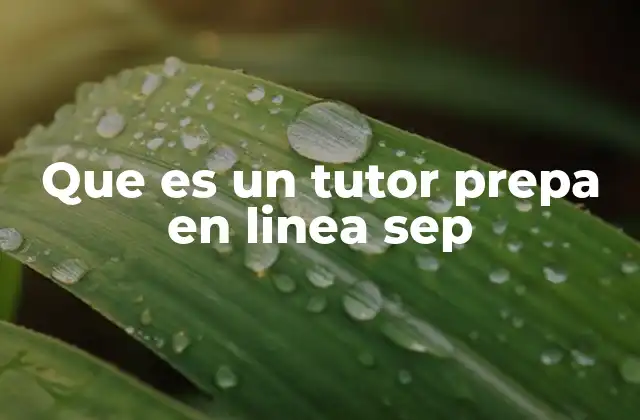 Que es un Tutor Prepa en Linea Sep