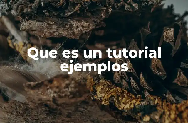 Que es un Tutorial Ejemplos