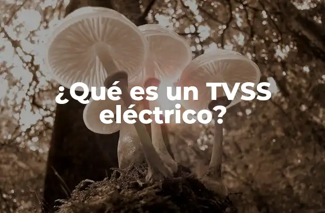 ¿qué es un Tvss Eléctrico?