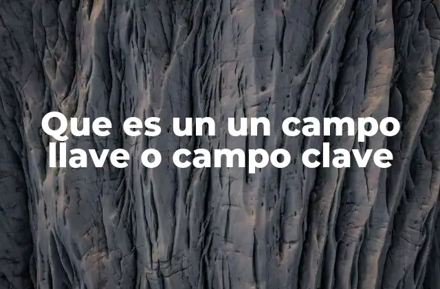 Que es un un Campo Llave o Campo Clave