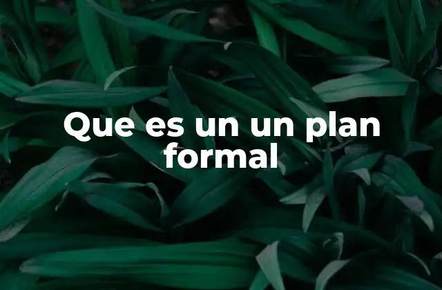 Que es un un Plan Formal