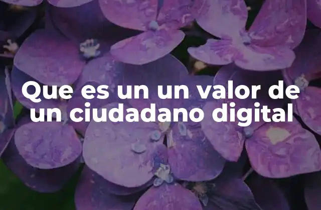 Que es un un Valor de un Ciudadano Digital 2 La importancia de los principios éticos en el mundo digital