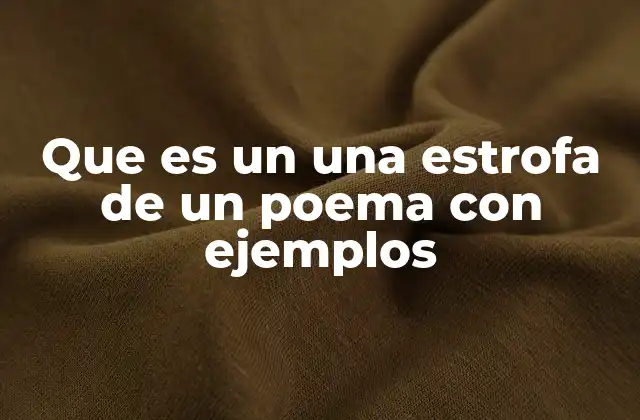 Que es un una Estrofa de un Poema con Ejemplos